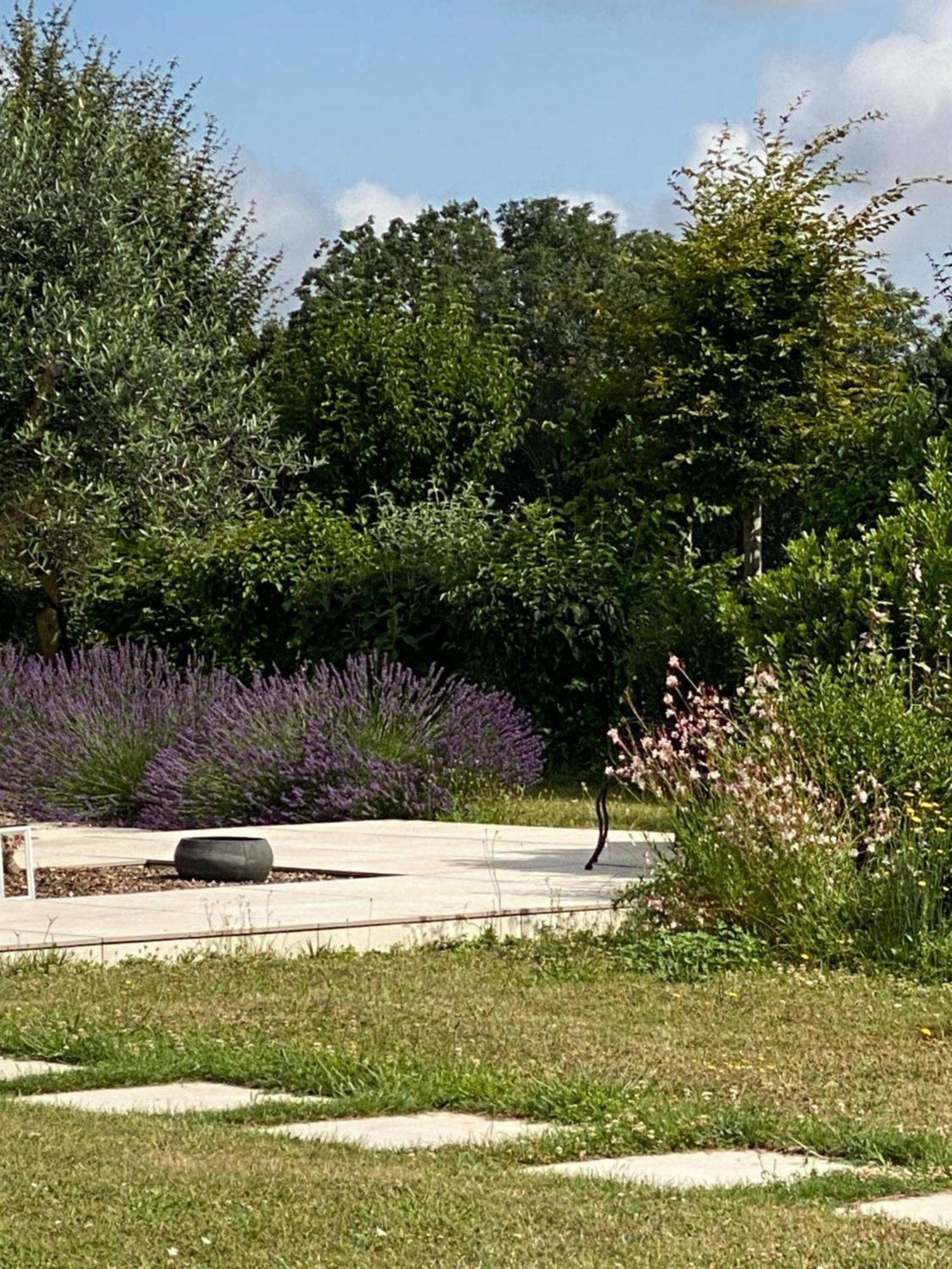 La Chaumeauniere Bed & Breakfast Aigrefeuille-d'Aunis Bagian luar foto